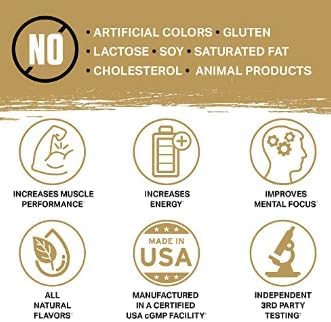 Ambrosia Kinetic Organic Preworkout, Mushroom Enhanced Natural Pre Workout Supplement, Nootropic Superfood Powder for Energy (Tropical Lime)