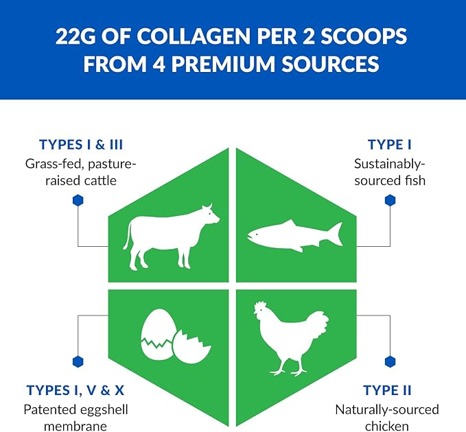 BioTrust Ageless Multi Collagen Peptides Powder – 5 Types (I, II, III, V, X) – Unflavored Collagen Powder for Women & Men – Hydrolyzed Protein – Grass Fed Beef, Fish, Chicken, Eggshell Membrane