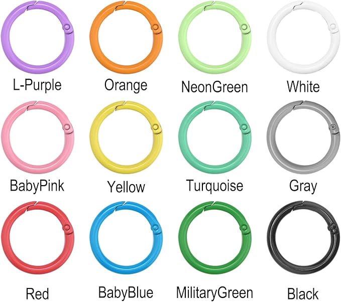 12 Pack 1 Inch Metal Round Carabiner Keyring, Trigger Spring O Rings for Keychain, Purse Chain Clips, Paracord Lanyard, Key Rings DIY Accessories (Assorted)
