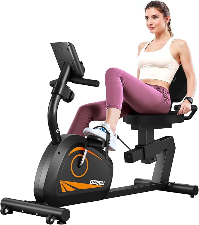 Recumbent Exercise Bike, Stationary Bikes for Home Magnetic Recumbent Bike with Adjust Seat for Adults Seniors, 300LB Capacity & 8-level Resistance, LCD Monitor and Heart Rate Handle