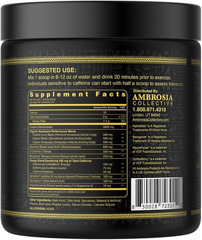Ambrosia Kinetic Organic Preworkout, Mushroom Enhanced Natural Pre Workout Supplement, Nootropic Superfood Powder for Energy (Watermelon Candy)