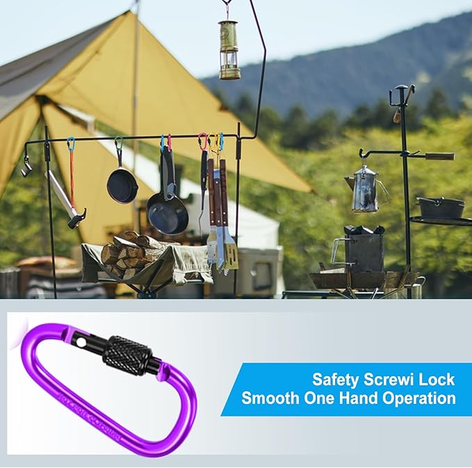 10 Pack Aluminum D Ring Key Rings Hiking Clips Locking Carabiner for Hiking Camping Fishing and Outdoor Use,Clips with Screw Gate Multicolored