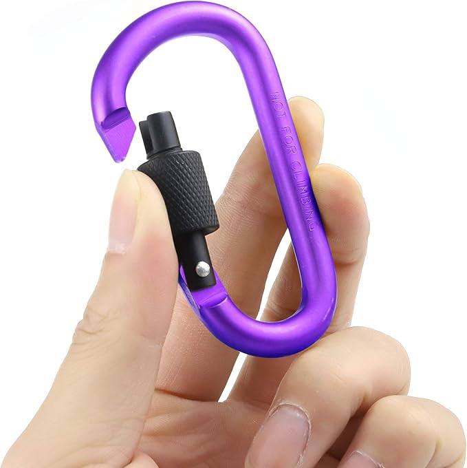 10 Pack Aluminum D Ring Key Rings Hiking Clips Locking Carabiner for Hiking Camping Fishing and Outdoor Use,Clips with Screw Gate Multicolored