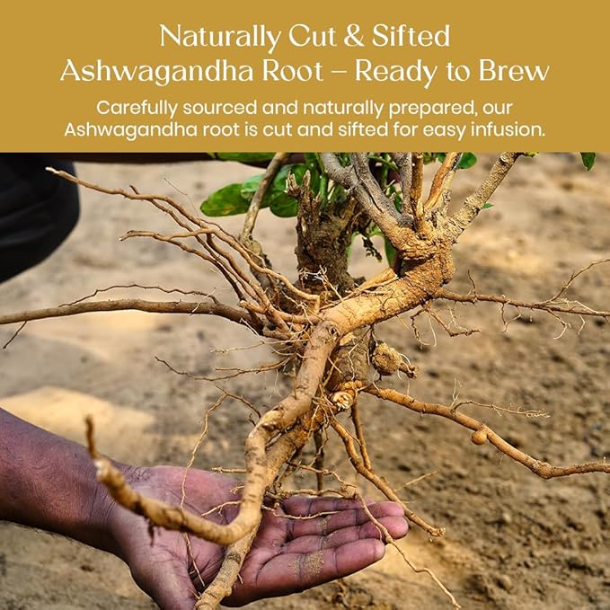 BlendArt Teas - Ashwagandha Root TeaBags - 30 Count - Pyramid Tea Bag |Ancient Adaptogen Superfood for Men and Women | Helps in Relive Stress | Promote Cleansing & Wellness | Caffeine Free | Ziplock Pouch