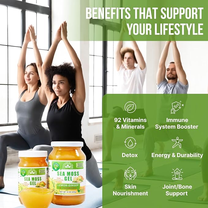 Wildcrafted Irish Sea Moss Gel | Made in USA | Rich in Vitamins & Minerals | Sea Moss Gel Raw | Nutritional Supplement | Lemon Ginger (16 oz)