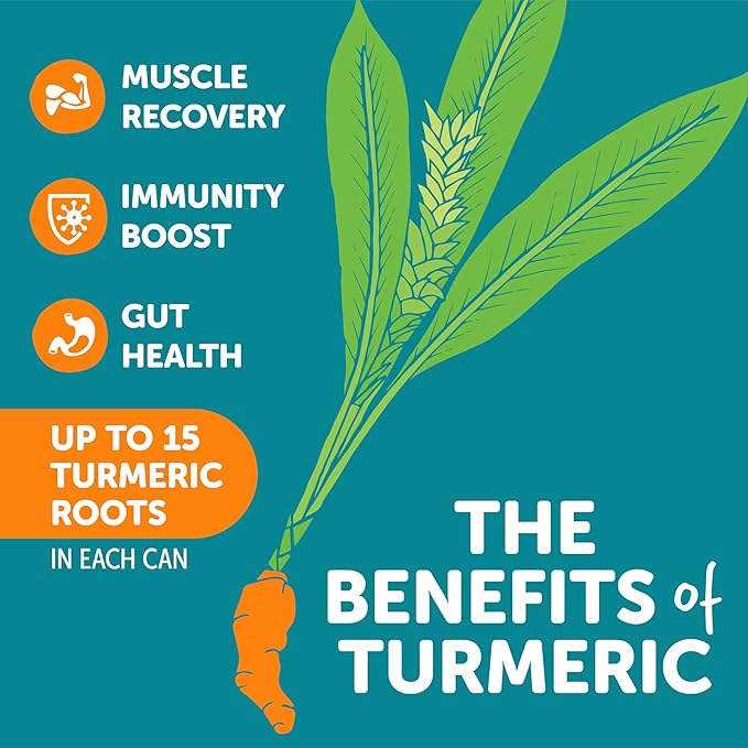 ZYN Turmeric Wellness Drink (24 Pack), Lemon Ginger Flavored Turmeric Curcumin Drink with Black Pepper, No Added Sugar, Low Carb & Low Calorie Drink, Clean Alternative