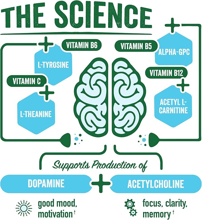 BrainJuice Decaf Brain Support Shot, Gluten Free Supplement Shots for Energy & Focus, Healthy Drinks with Alpha GPC, Vitamin B & Decaffeinated Green Tea Leaf, Classic, 2.5 fl oz, 12 Pack