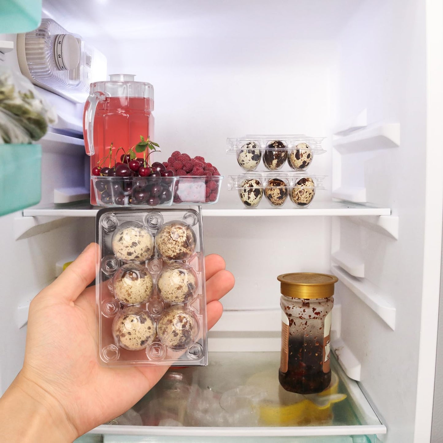 300 Pack Quail Egg Cartons, Clear Plastic Quail Egg Trays, Holds up to 6 Quail Eggs Securely - Your Ultimate Small Eggs Carton Holders for Bulk Storage and Display