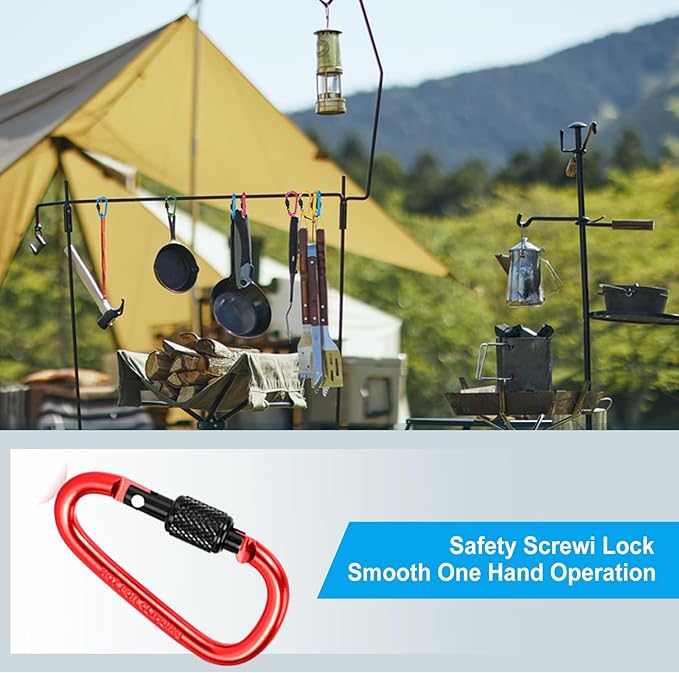 10 Pack Aluminum D Ring Key Rings Hiking Clips Locking Carabiner for Hiking Camping Fishing and Outdoor Use,Clips with Screw Gate Multicolored