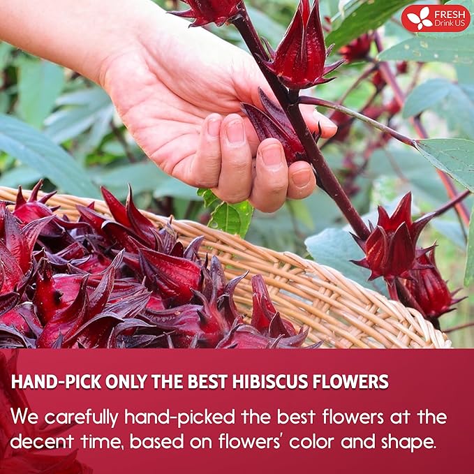 FreshDrinkUS Premium 30 Hibiscus Tea Bags, 100% Natural & Pure, Loose Flower Herbal Tea, No Sugar, Caffeine, Gluten, Vegan