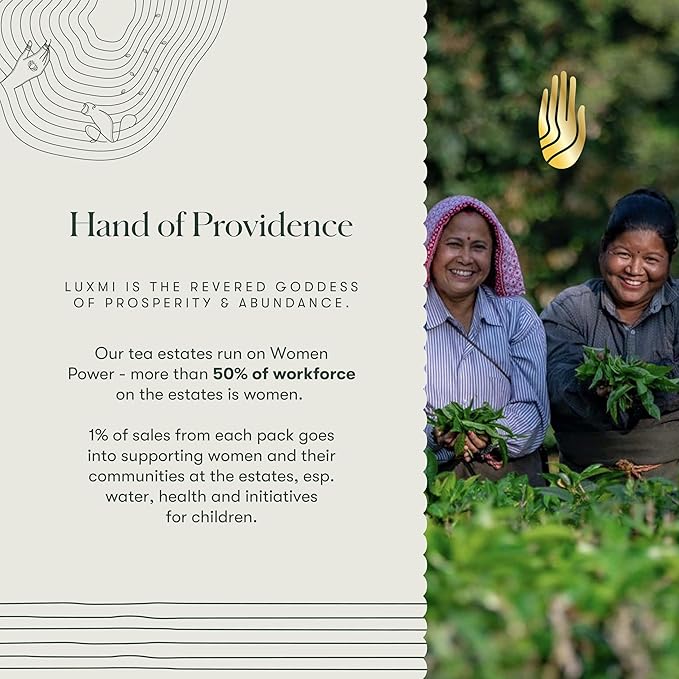 Luxmi Estates Citrus Sky Lemongrass Ginger Green Tea 200g Loose Leaf Pack | Certified Organic Darjeeling Green Tea | Citrus Flavor & Aroma | Natural Lemon Balm Tea - Calming, Supports Digestion | Lemon Grass Leaves | 100 Cups