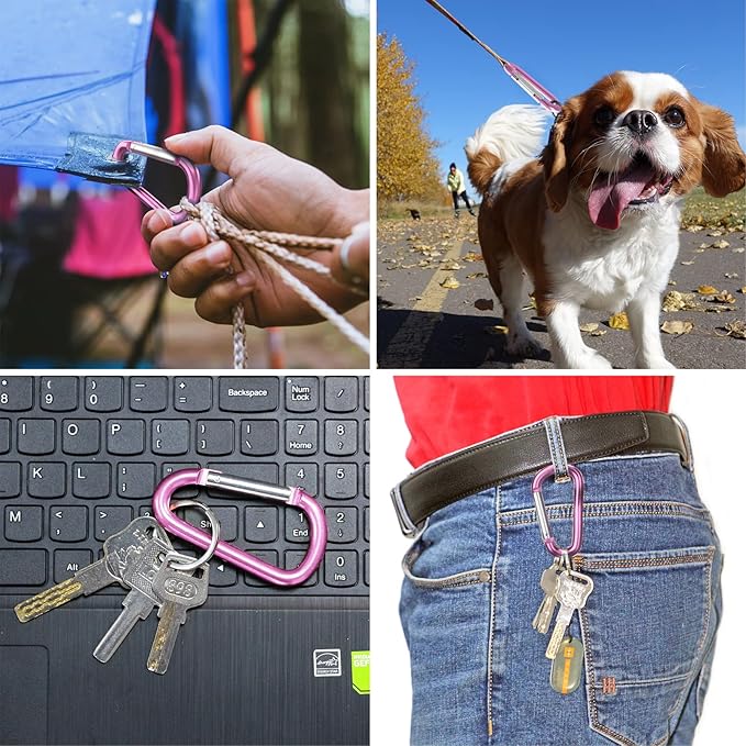 sprookber 3" Aluminum Carabiner D Ring, Caribeener Clips, Spring Snap Hook for Keychain Clip, Set of 10