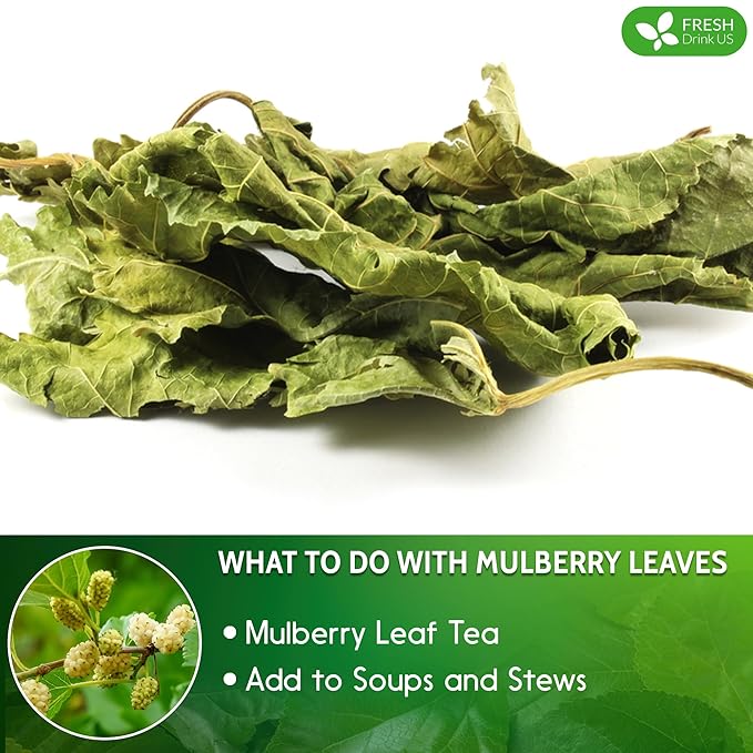 FreshDrinkUS, Permium 2oz Mulberry Leaves, 100% Natural & Pure from Mulberry Leaves, Mulberry Leaf Tea, Mulberry Loose Leaf Herbal Tea, No Additives, No Caffeine, Vegan