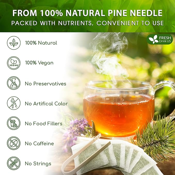 FreshDrinkUS, Pine Needle Tea Bags β 75 Tea Bags, Naturally Caffeine-Free, Refreshing Herbal Tea, Wild-Harvested Pine Leaves, Aromatic and Soothing β Non-GMO & Eco-Friendly Packaging