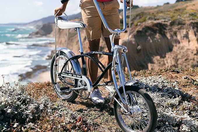 Schwinn Krate Classic Sting-Ray Bike, 20 Inch Bike for Kids or Adults, Steel Frame & Springer Fork, Fenders, Single Speed, Coaster Brake, Grey Ghost, Lemon Peeler, Coal, Grape, Orange or Apple