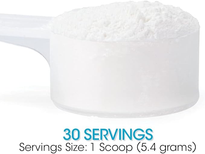 Silver Fern Gut Repair - Digestive Health Supplement Powder - L-Glutamine, Curcumin, Zinc & Ascorbic Acid (2 Tubs - 60 Servings)