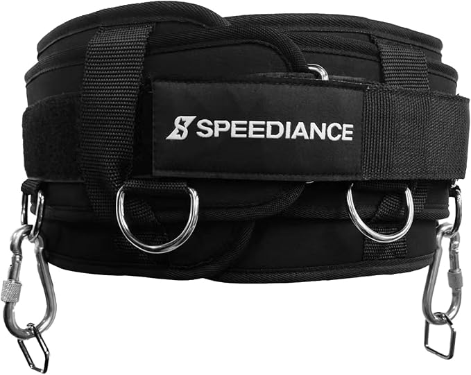 Gym Monster 2 Family Plus & Weight Lifting Belt & Gym Accessories Organizer & Skiing Handles 2 Bundle