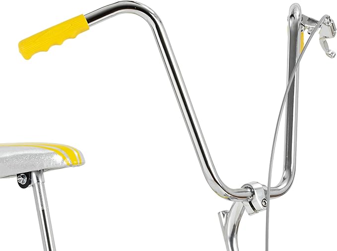 Schwinn Krate Classic Sting-Ray Bike, 20 Inch Bike for Kids or Adults, Steel Frame & Springer Fork, Fenders, Single Speed, Coaster Brake, Grey Ghost, Lemon Peeler, Coal, Grape, Orange or Apple