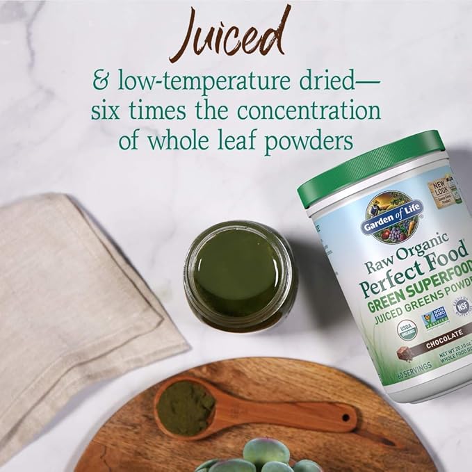Garden of Life Raw Organic Perfect Food Green Superfood Juiced Greens Powder - Chocolate, 60 Servings, Non-GMO, Gluten Free, Vegan Whole Food Dietary Supplement Plus Probiotics, Enzymes