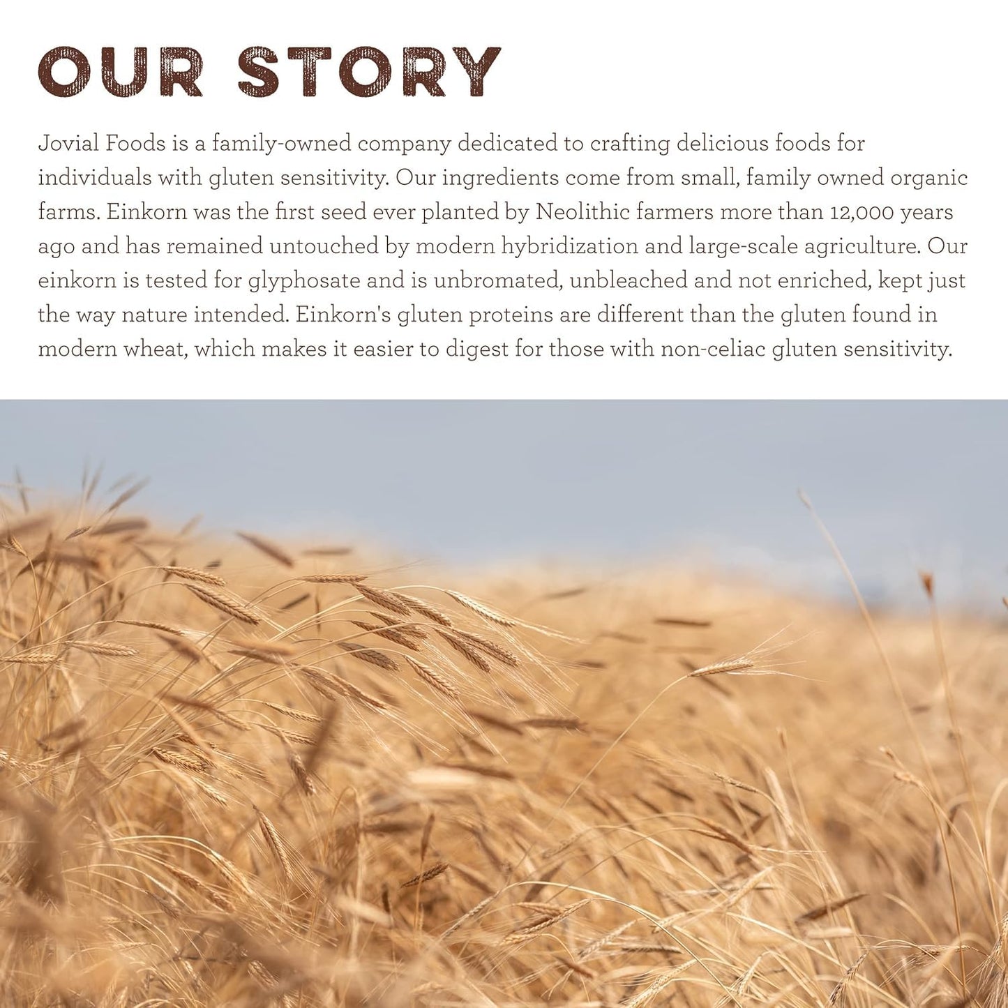 Jovial Organic Einkorn Unbleached All Purpose Flour - Bread Baking Flour for Sourdough, High Protein, Non-GMO, Organic Pizza & Pasta, European Italian, Glyphosate Free - 32 Oz, 4 Pack