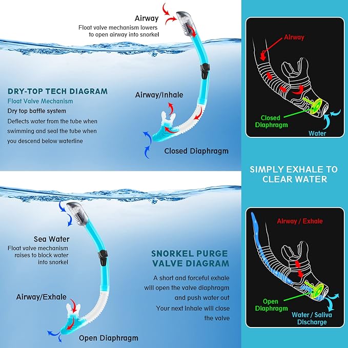 ZEEPORTE Mask Fin Snorkel Set, Travel Size Snorkeling Gear for Adults with Panoramic View Anti-Fog Mask, Trek Fins, Dry Top Snorkel and Gear Bag for Swimming Training, Snorkeling Kit Diving Packages