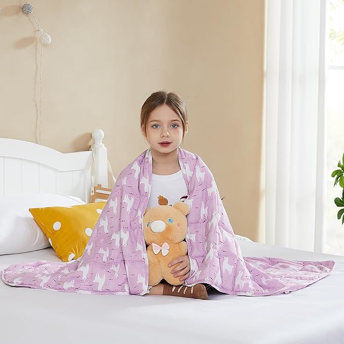 L'AGRATY Weighted Blanket - 40"x60" 10lbs Breathable Weighted Blanket Microfiber Material with Glass Beads