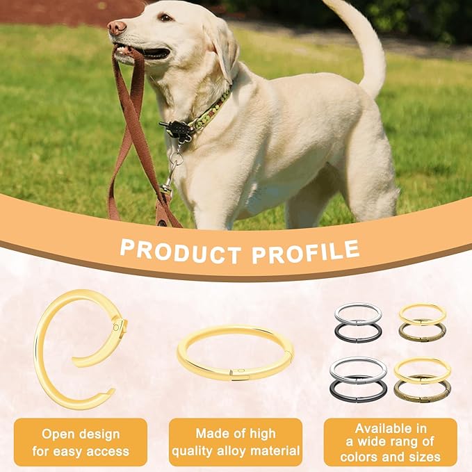 10Pack 2" Large Round Carabiner Clips, Metal Spring O Rings for Organizer Key Rings, Paracord Keychain Lanyard, Pet Chains, Purse Hardware, Key Snap Hooks DIY Accessory (Bronze)