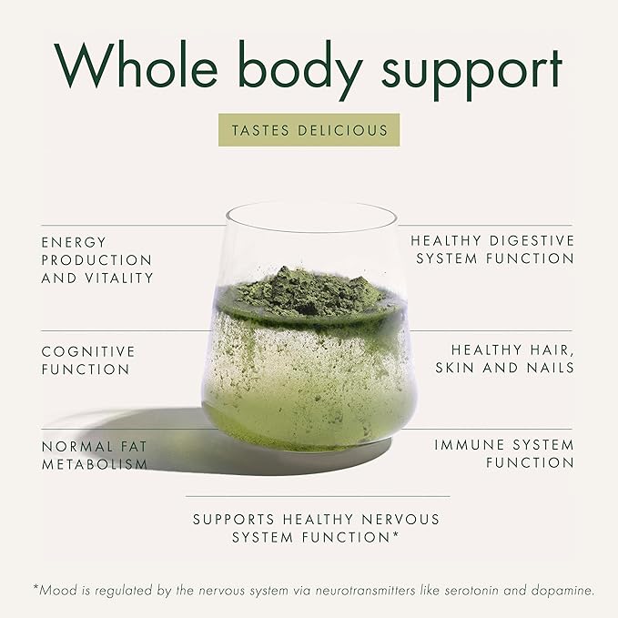 WelleCo The Super Elixir Daily Greens Powder, Probiotic Drink Mix with Whole Foods, Gluten Free, Vegan Gut Health Powder, Energy, Immunity, Healthy Skin, Hair & Nails (300g, Unflavored) Jar