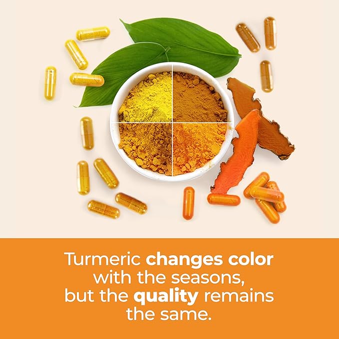 Turmeric Supplement - High Potency Turmeric Curcumin Supplement with 1200 mg Organic Tumeric and 95% Curcuminoids. Curcumin Supplements with Black Pepper for Immune & Joint Health. 60 Curcuma Capsules