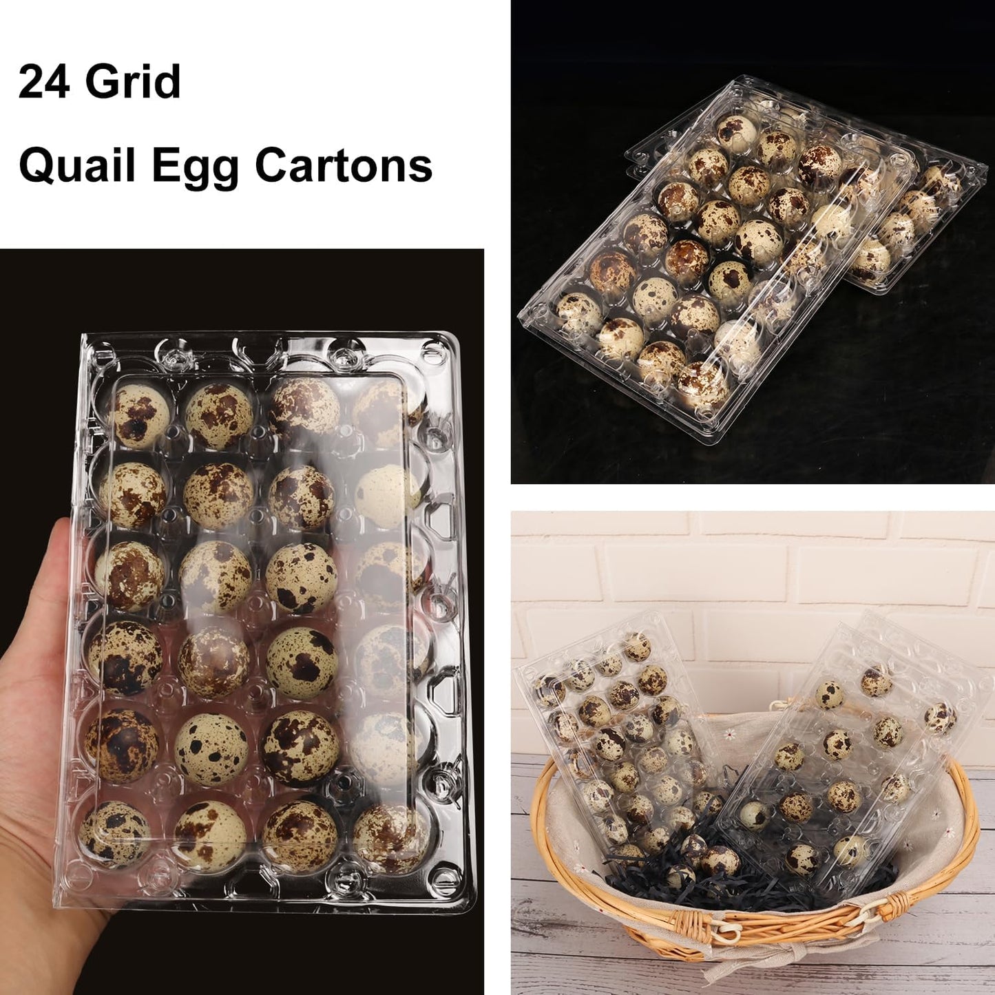 120 Pack Quail Egg Cartons - Clear Plastic Trays Hold 24 Eggs Securely, Ultimate Small Egg Holders for Bulk Storage and Display