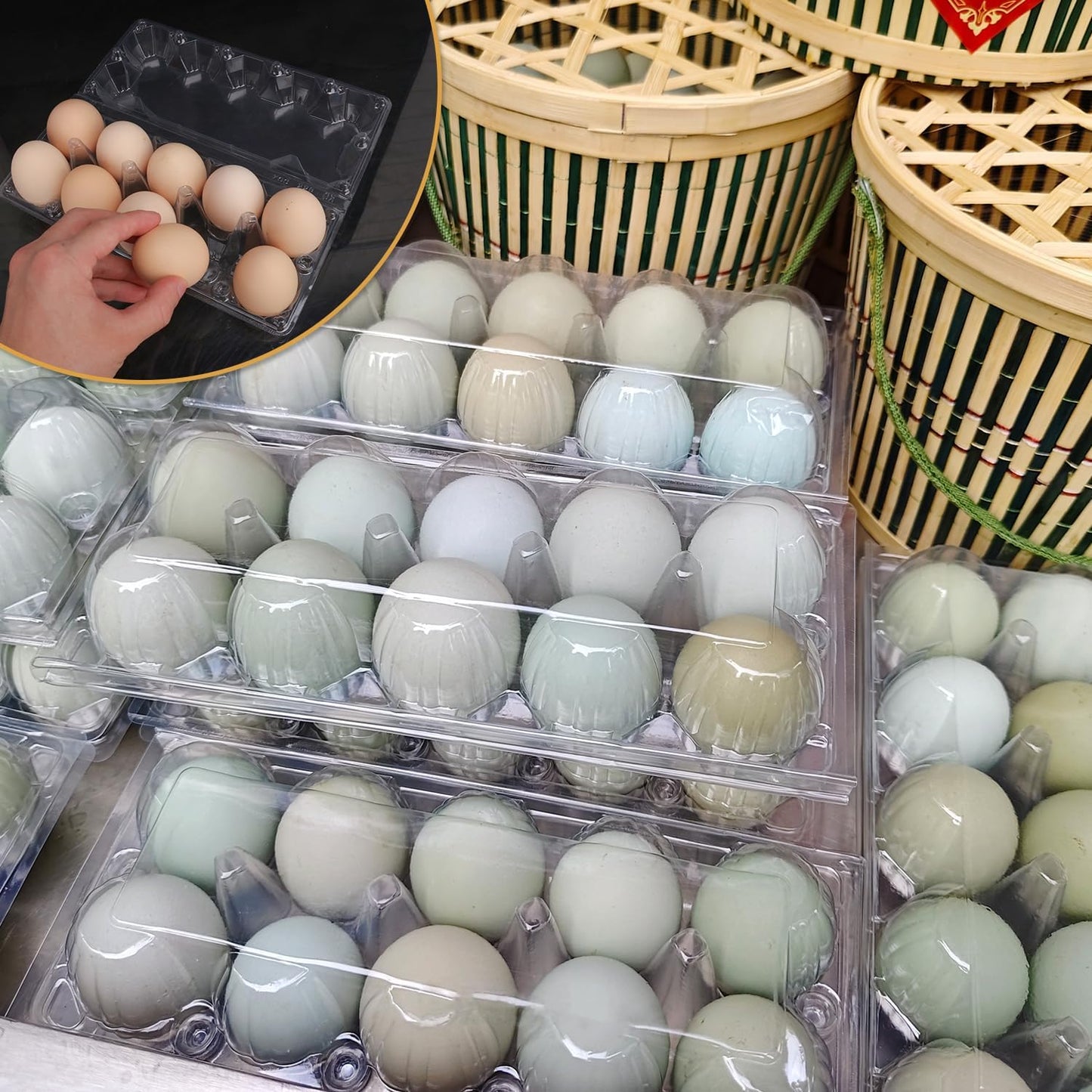80 Pack Bulk Egg Cartons, Clear Plastic Chicken Egg Holders, Egg Tray Carton Holder for Home & Kitchen, Farm & Market Use, An Eco-Friendly Egg Storage Solution, 10 Grids(Medium Size)