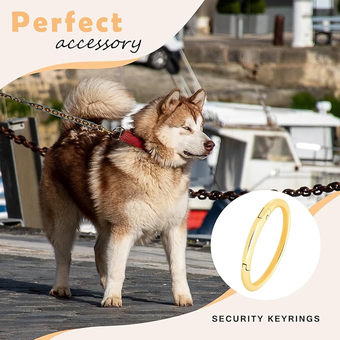 10Pack 2" Large Round Carabiner Clips, Metal Spring O Rings for Organizer Key Rings, Paracord Keychain Lanyard, Pet Chains, Purse Hardware, Key Snap Hooks DIY Accessory (Silver)