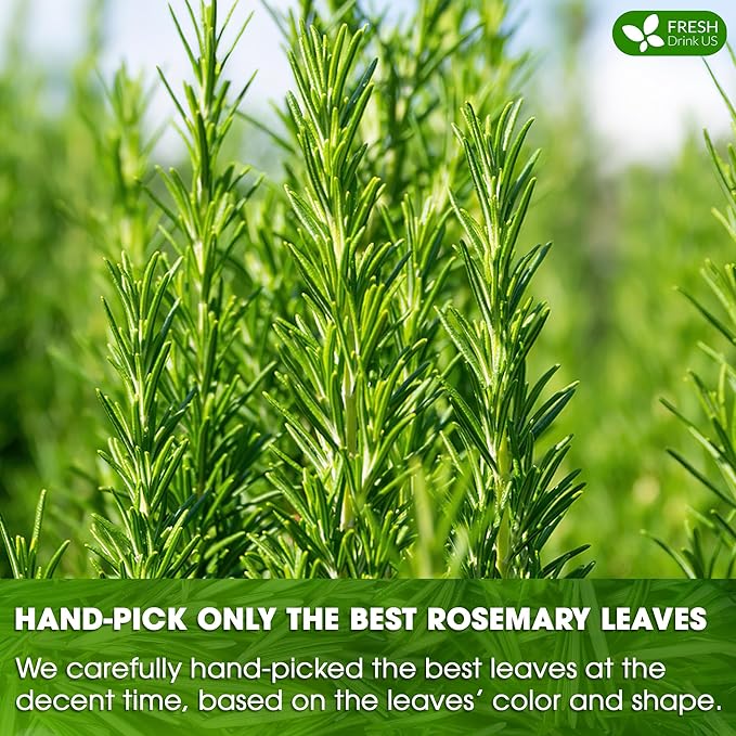 FreshDrinkUS, Premium 100 Rosemary Leaf Tea Bags, Made with 100% Natural Rosemary Dried Leaves, Pure Rosemary Herbal Tea, No Additives, No Caffeine, No Gluten, Vegan.