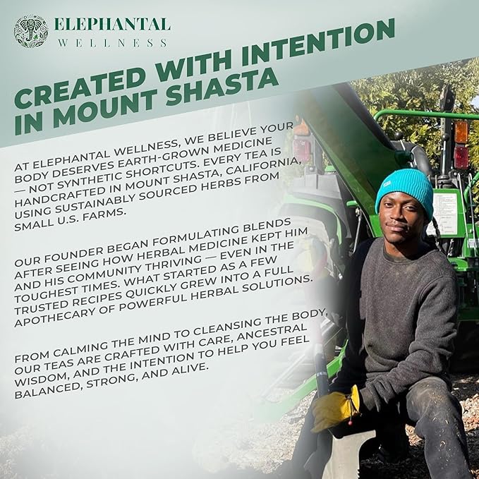 Elephantal Wellness Premium Brain Herbal Tea | Nootropic Focus & Mental Clarity with Ginkgo, Bacopa, Gotu Kola & Rosemary | Non-GMO, Caffeine-Free Coffee Alternative, Handmade Loose Leaf Blend, 2oz Loose Leaf, 20 Servings