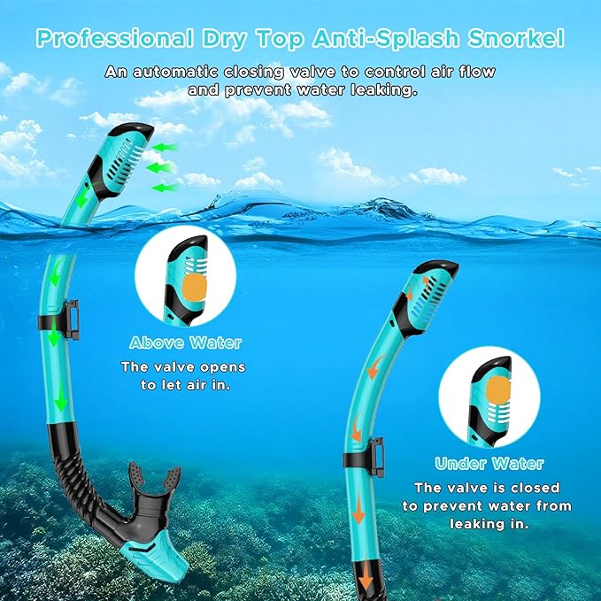 2 Pack Snorkeling Gear for Adults, Dry Snorkel, Mask Set Adult, Diving Scuba Mask, Scuba Gear, Swimming Goggles with Nose Cover, Swim Freediving Tempered Glass Panoramic View Travel Packages