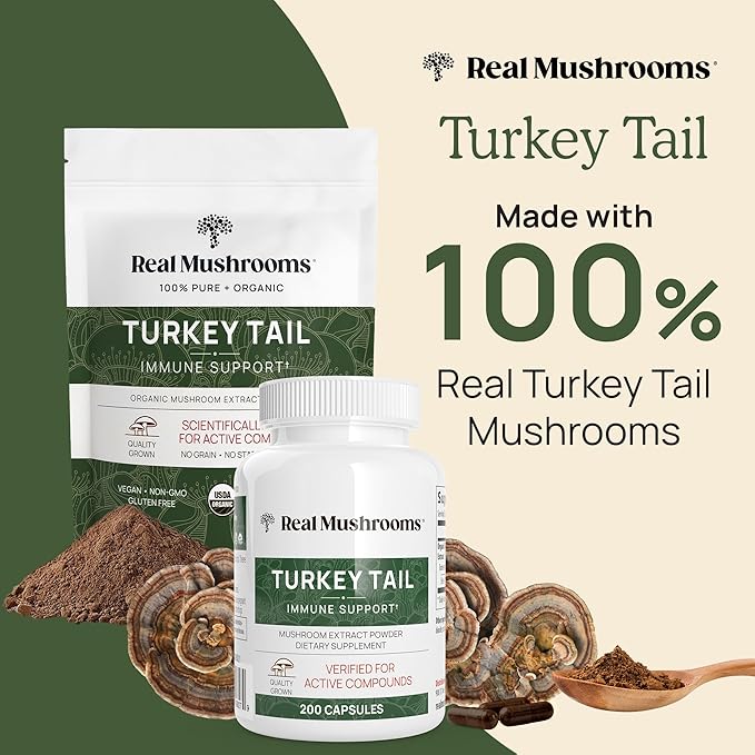 Real Mushrooms Turkey Tail Capsules – Organic Mushroom Extract for Daily Wellness, Gut Harmony, Energy Support – Vegan, Non-GMO, No Fillers – Turkey Tail Extract 200 Count Mushroom Supplement