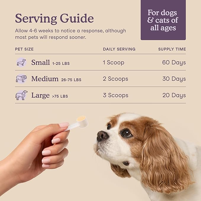 Fera Pet Organics Calming Supplement for Dogs & Cats - Vet Created - GABA & Ashwagandha Supplements Help Cat & Dog Stress or Hyperactivity -60 Scoops