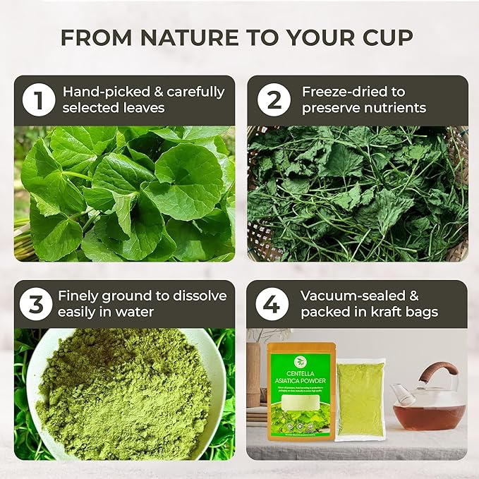 Centella Asiatica Powder (Gotu Kola) - 10.58 oz, Herbal Tea for Cooling & Refreshing, Supports Skin & Wellness, Freeze-Dried & Finely Ground, No Additives, No Caffeine, Gluten Free