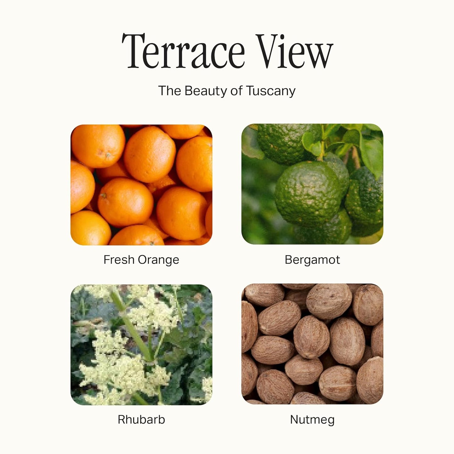 Kitchen Set, Hand Wash, Dish Soap & All Purpose Cleaner, Cleaning Essentials Bundle