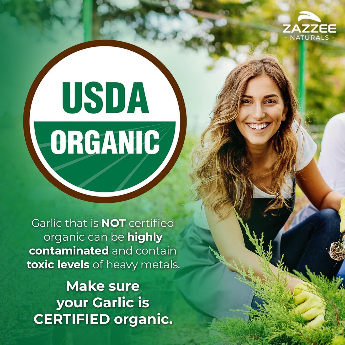 Zazzee USDA Organic Odorless Garlic 20:1 Extract, 5000 mg Strength, 100 Vegan Capsules, 3+ Month Supply, Standardized, Concentrated 20X Extract, 100% Vegetarian, All-Natural, Non-GMO, Made in The USA