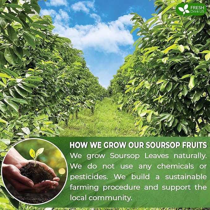 FreshDrinkUS, 40 Premium Soursop Graviola Fruit Tea Bags, 100% Natural and Pure from Soursop Fruits, Made With Natural Materials-Corn Fiber Tea Bag, Sugar/Caffeine/Gluten Free, Hoja Guanabana Tea