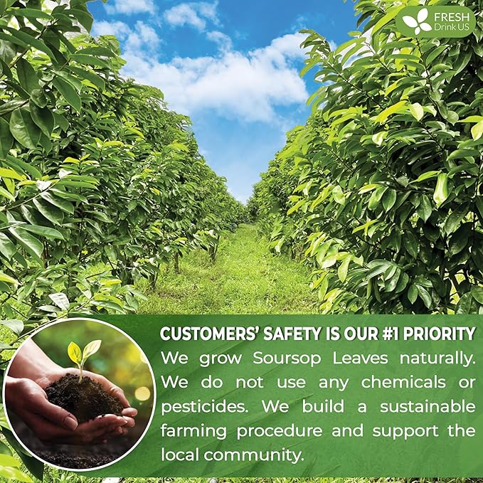 FreshDrinkUS, 150 Premium Soursop Graviola Leaf Tea Bags, 100% Natural and Pure, Hand-made, Made With Natural Materials-Corn Fiber Tea Bag, Sugar/Caffeine/Gluten Free, Hoja Guanabana Tea