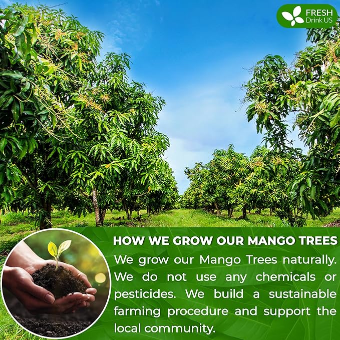 FreshDrinkUS, Premium 100 Mango Leaf Tea Bags, 100% Natural& Pure from Mango Leaves. Loose Leaf Mango Herbal Tea. Mango Leaf Tea. No Sugar, No Caffeine, No Gluten, Vegan.